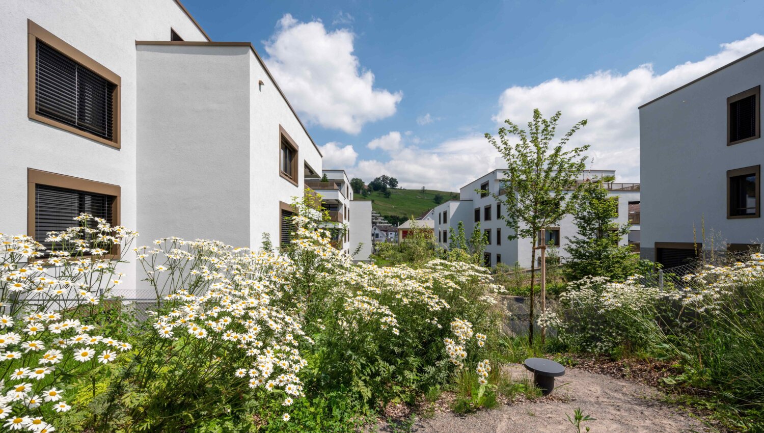 2024 06 IFN Aussenaufnahmen 012